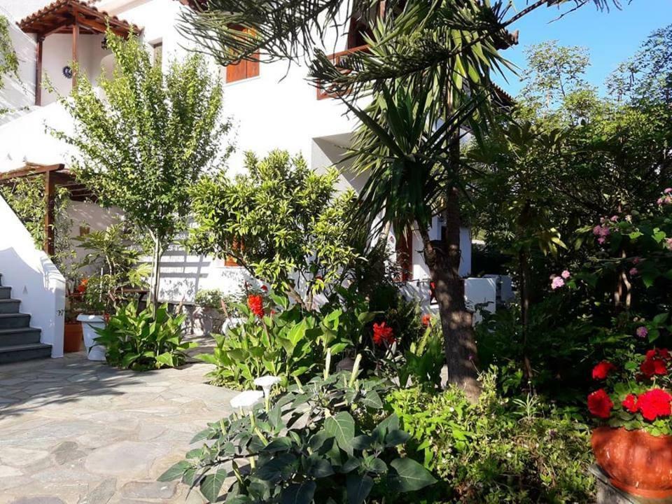Katikies Stamatias Studios & Maisonettes Agnontas Exterior photo